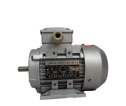 JL1.IE2鋁殼高效節(jié)能電機(jī)