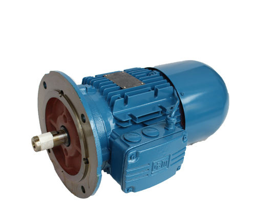 WEG制動(dòng)電機(jī)