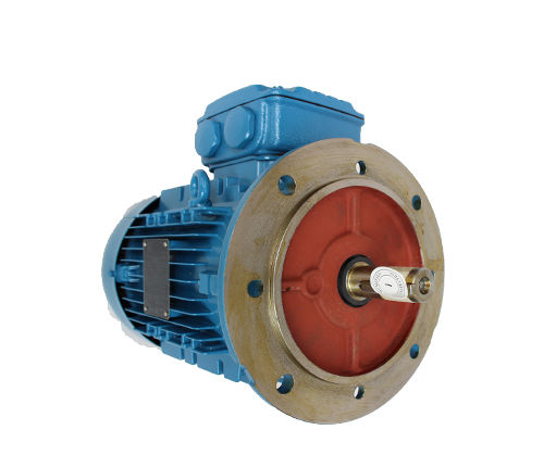 WEG排煙電機(jī)