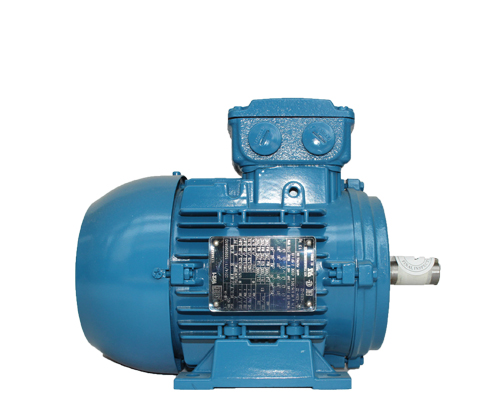 55千瓦高效電機(jī)