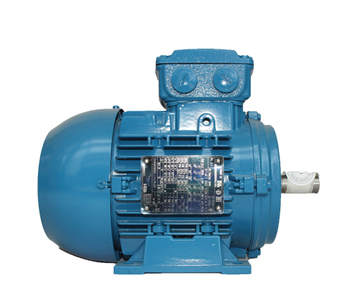 132千瓦高效電機(jī)