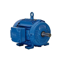 和abb電機(jī)齊名的WEG電機(jī)