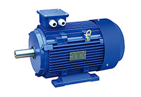 金龍高效三相異步電機的使用條件