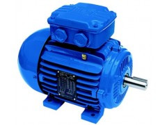 防止三相異步電動機過熱的冷卻方式有哪些？