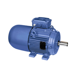 WEG防爆電機主要有哪些分類？