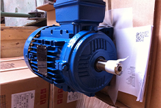 希望中國成為世界節(jié)能領(lǐng)域主力軍