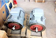 高效電機隨著國家補貼力度政策實施將呈現(xiàn)快速發(fā)展的趨勢