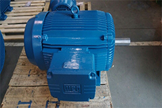 高效節(jié)能電機具備很多普通電機無法相媲美的特性