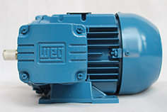 希望中國成為世界節(jié)能領(lǐng)域主力軍