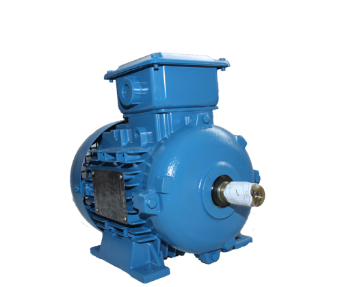 中國(guó)質(zhì)保三年的高效節(jié)能電機(jī)