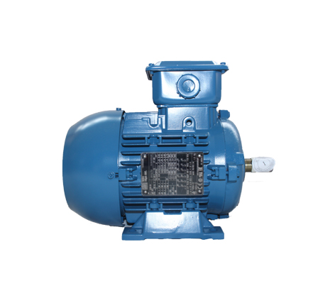 全國人大代表黃代放：高效電機(jī)推廣不給力 建議強(qiáng)制執(zhí)行