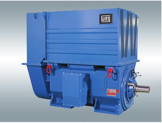 WEG高壓電機(jī)M系列