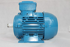 電動(dòng)機(jī)的結(jié)構(gòu)形式主要分為哪幾種