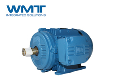 簡析WEG變頻電機(jī)主要有哪些優(yōu)點(diǎn)