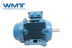 WEG防爆電機(jī)系列及主要特點(diǎn)有哪些