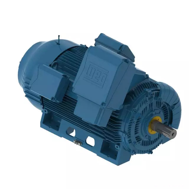 W50系列緊湊型大功率三相異步電機