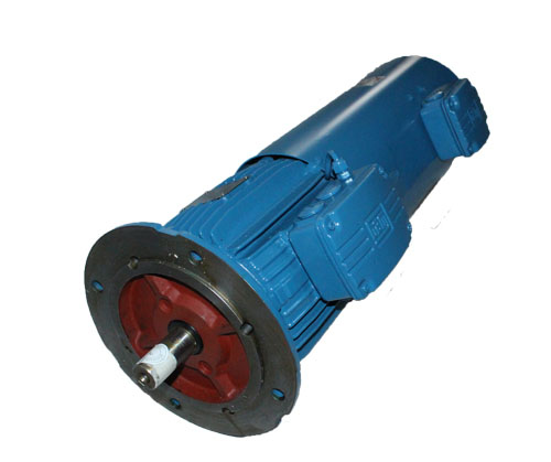 防爆電機(jī)在石化領(lǐng)域的應(yīng)用