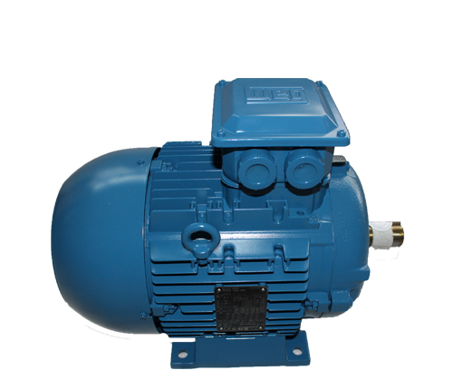 異步電機(jī)與永磁電機(jī)有什么區(qū)別