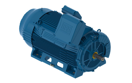 關(guān)于高壓電機(jī)漏油的危害