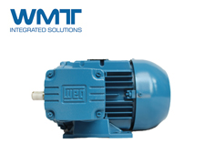 WEG和Sebrae Mato Grosso推動(dòng)小型企業(yè)提高能效解決方案