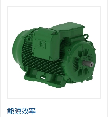 WEG與阿爾克馬簽署了提供高效率電機(jī)的協(xié)議