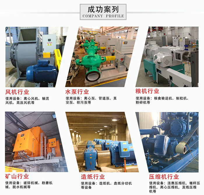 WEG電機行業(yè)應(yīng)用案例