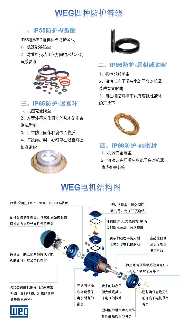 WEG電機(jī)防護(hù)等級(jí)截圖